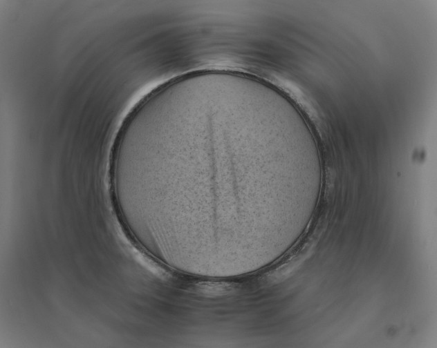 X0000094451331200712061152