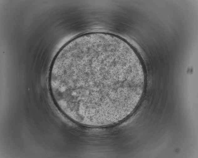 X0000094451333200712061152