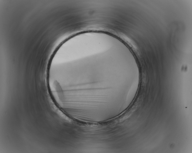 X0000094451334200712061152