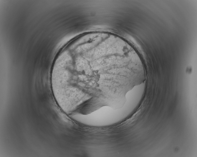 X0000094451336200712061152