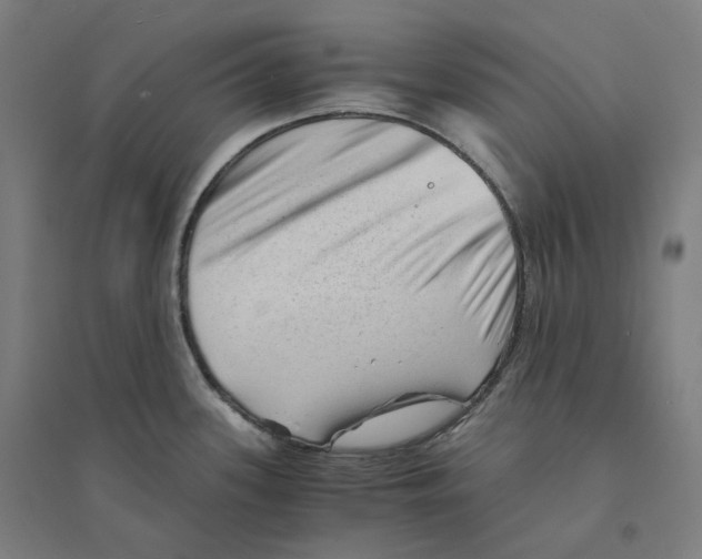 X0000094451339200712061152