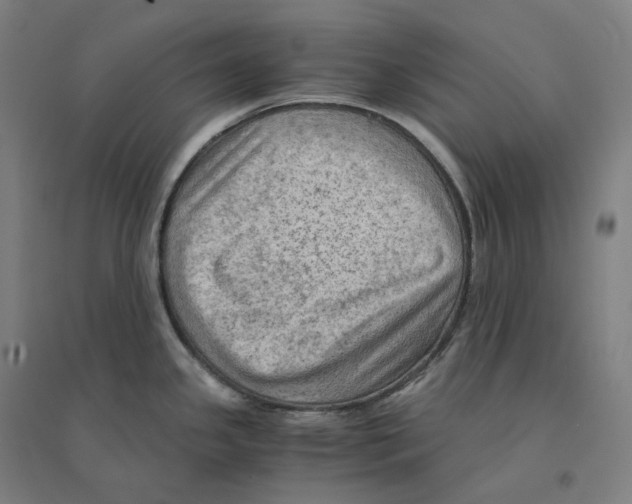 X0000094451341200712061152