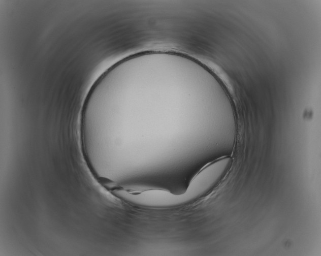 X0000094451343200712061152