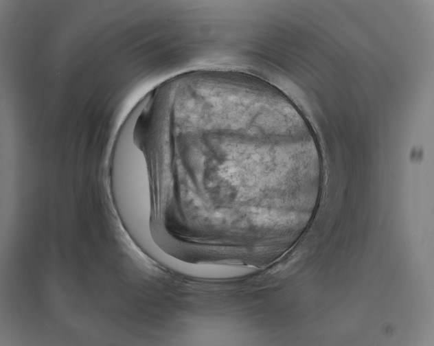 X0000094451344200712061152