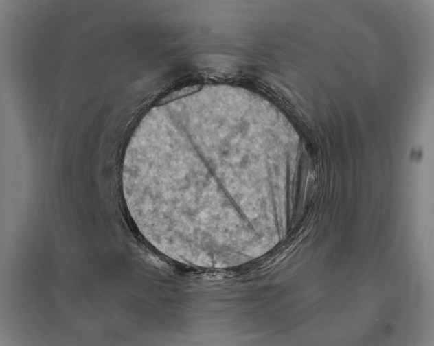 X0000094451345200712061152