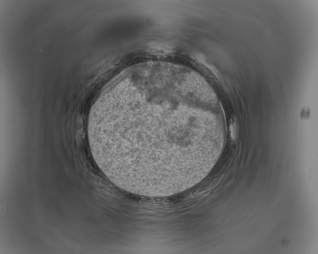 X0000094451347200712061152