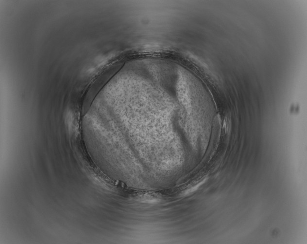 X0000094451348200712061151