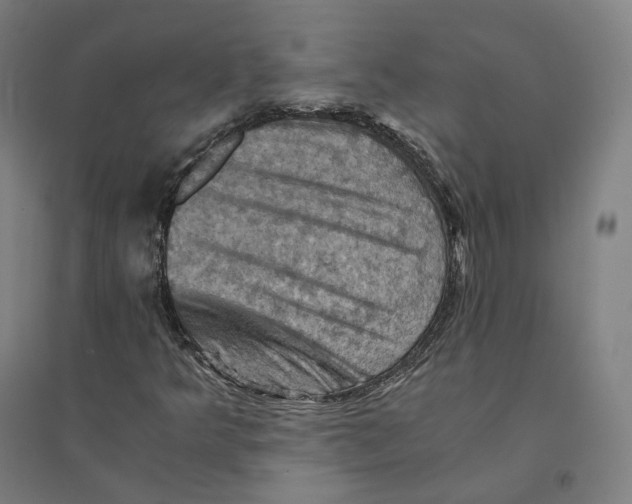 X0000094451349200712061151