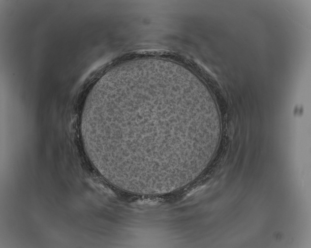 X0000094451351200712061151