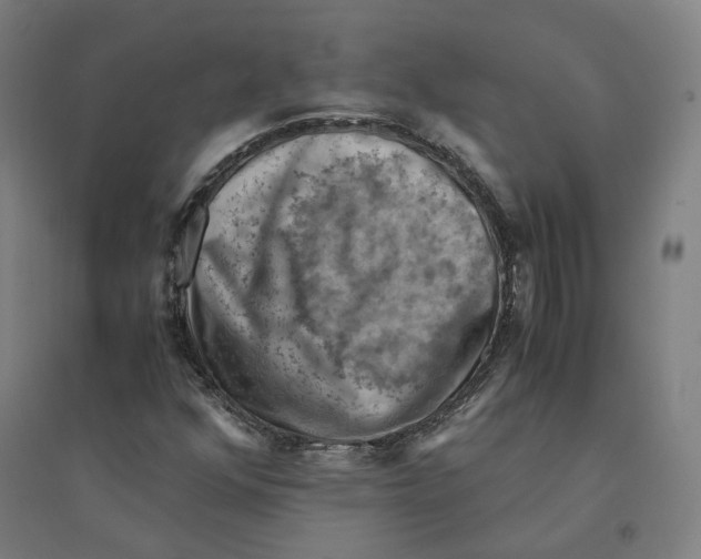 X0000094451352200712061151