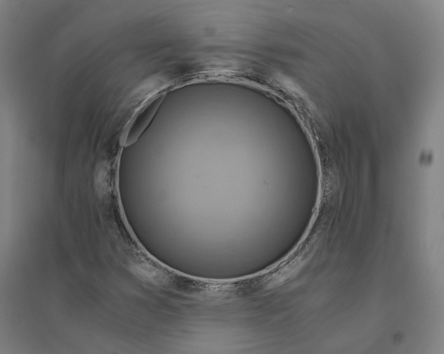 X0000094451353200712061151