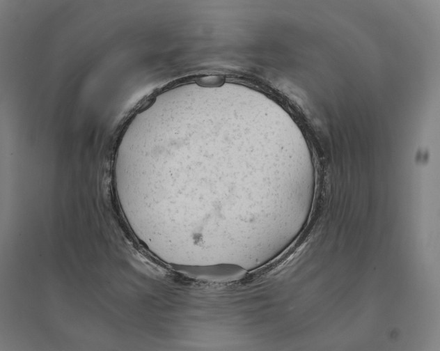 X0000094451355200712061151