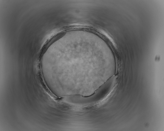 X0000094451357200712061151