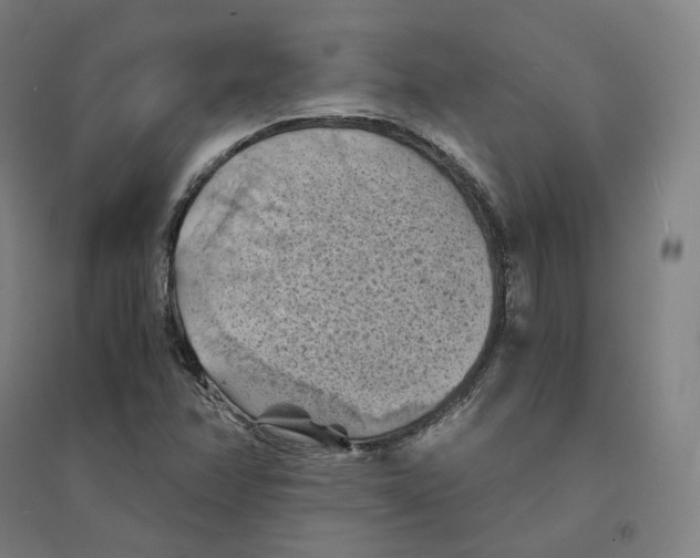 X0000094451358200712061151