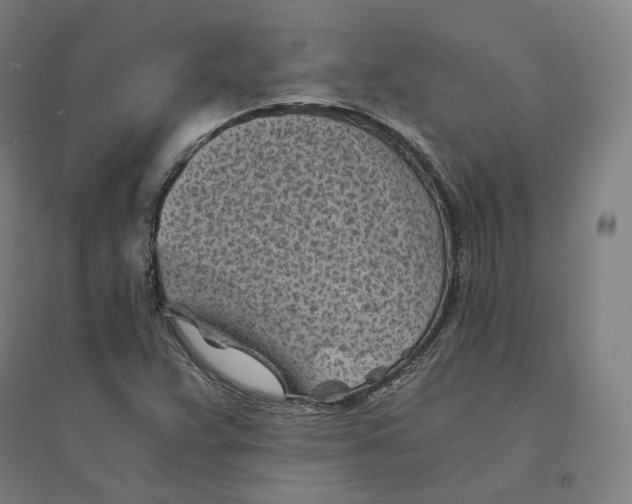 X0000094451359200712061151