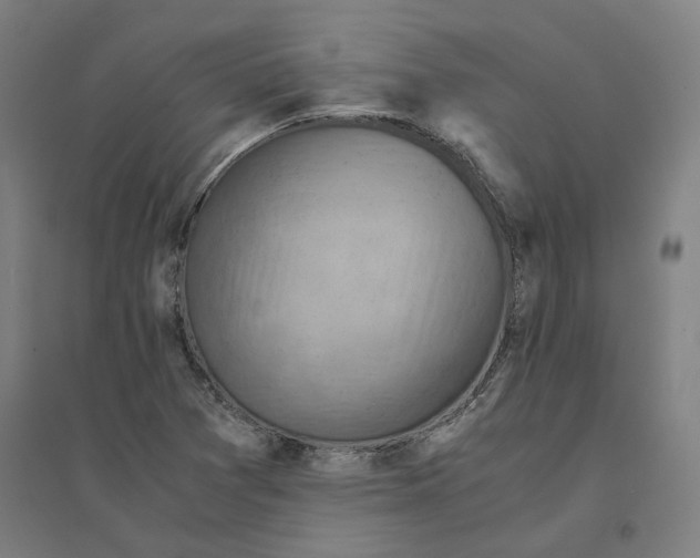 X0000094451361200712061151