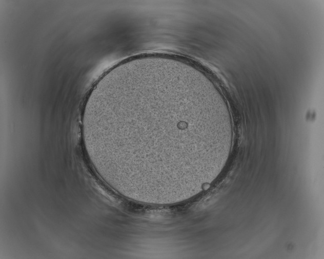 X0000094451363200712061151