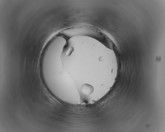 X0000094451364200712061151