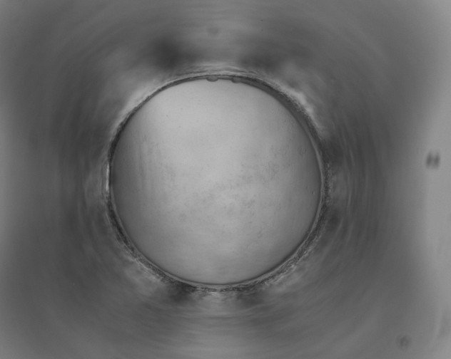 X0000094451365200712061151