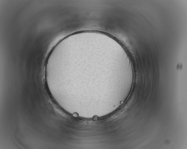 X0000094451366200712061151