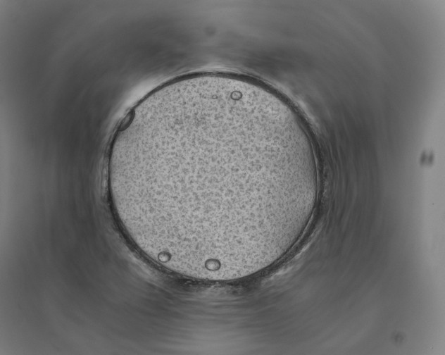 X0000094451367200712061151