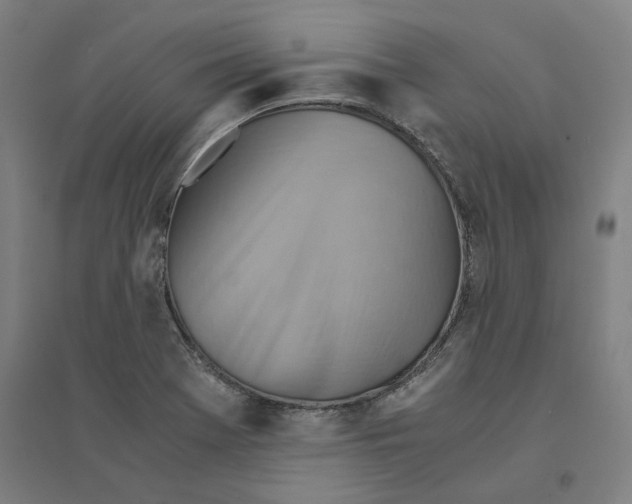 X0000094451369200712061151