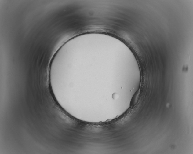 X0000094451370200712061151