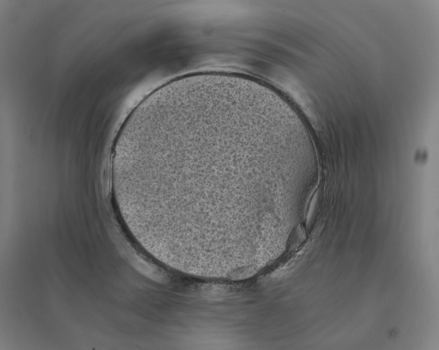 X0000094451371200712061151