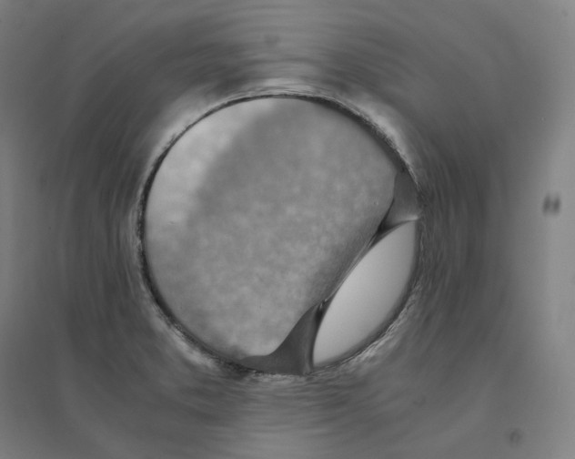 X0000094451373200712061151