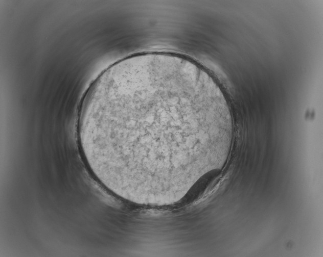 X0000094451374200712061151