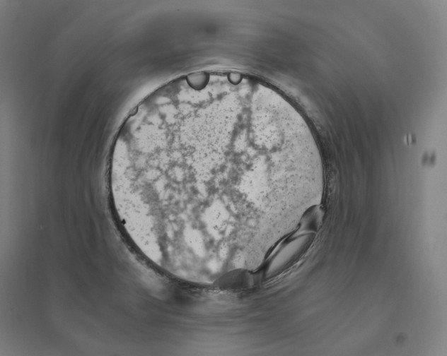 X0000094451375200712061151