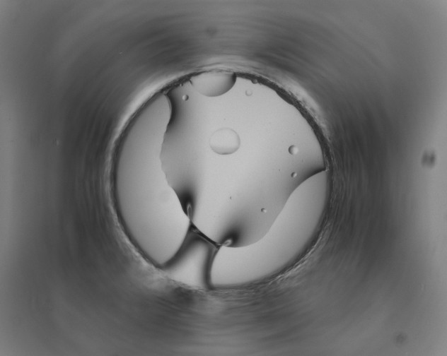 X0000094451376200712061151