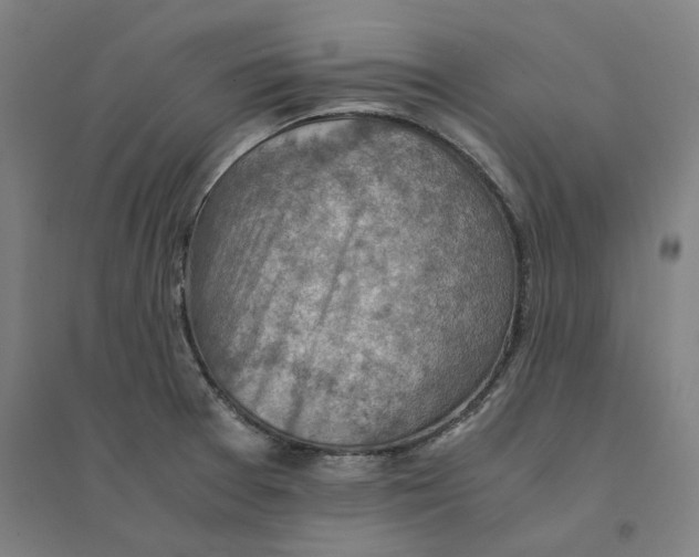 X0000094451377200712061151