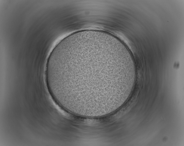 X0000094451379200712061151