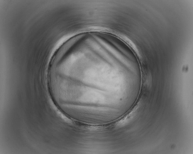 X0000094451381200712061151