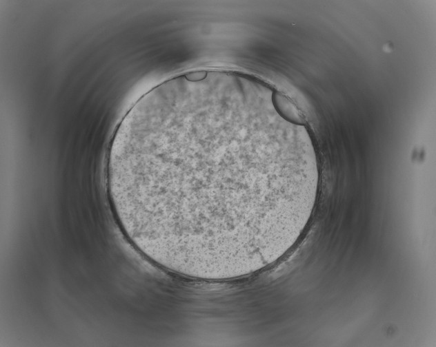 X0000094451382200712061151