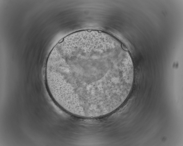 X0000094451383200712061151