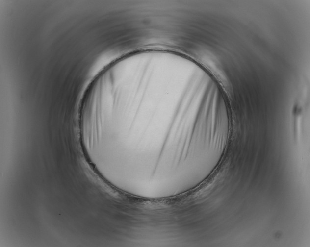 X0000094451384200712061151