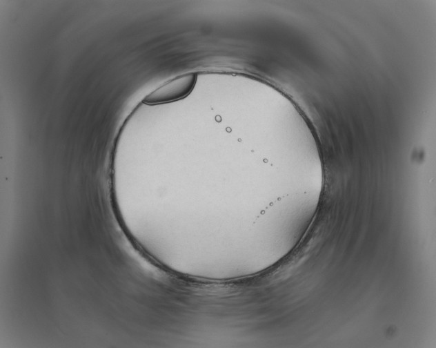 X0000094451387200712061151