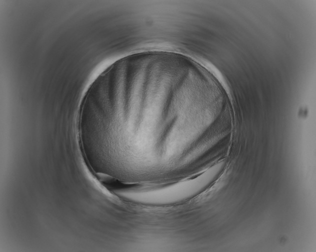 X0000094451389200712061151