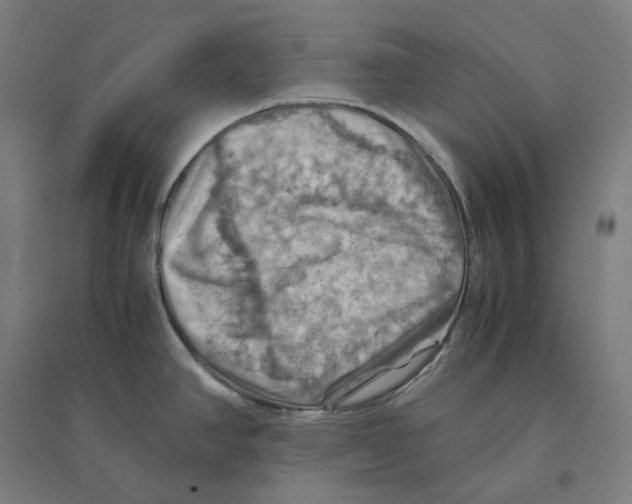 X0000094451390200712061151