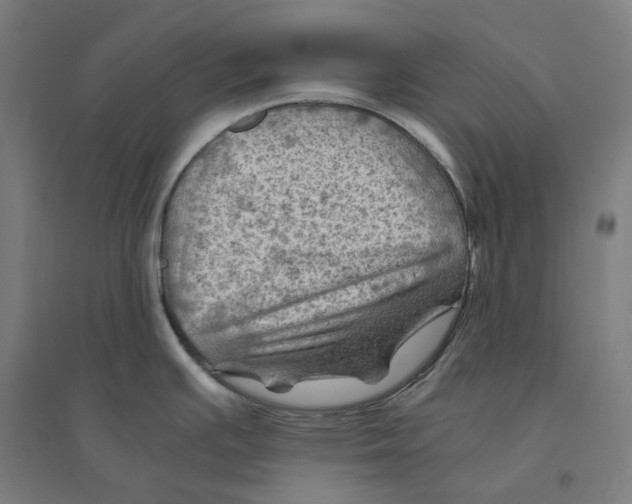 X0000094451391200712061151