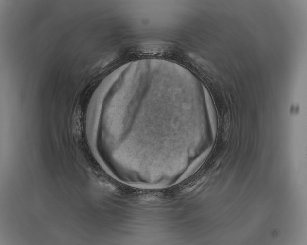 X0000094451394200712061150