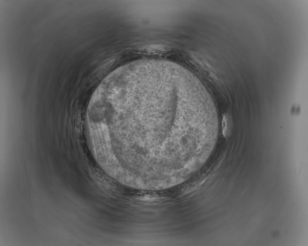 X0000094451395200712061150