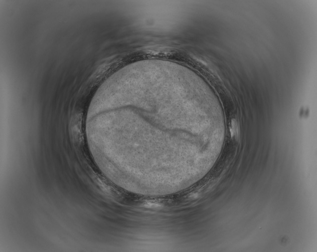 X0000094451396200712061150