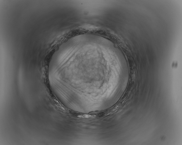 X0000094451397200712061150