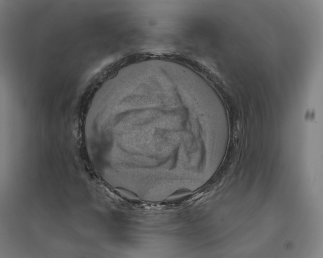 X0000094451398200712061150