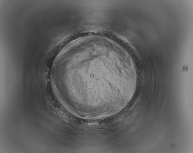 X0000094451399200712061150