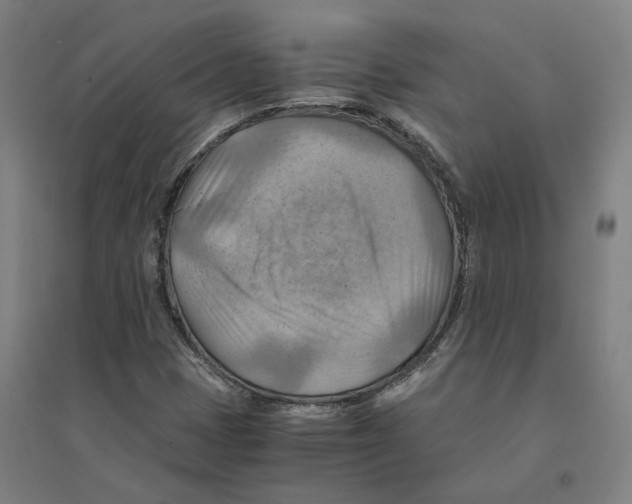 X0000094451401200712061150