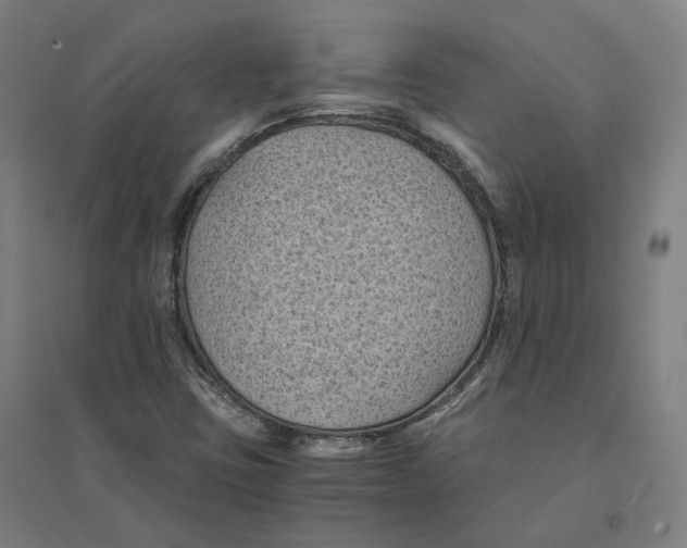 X0000094451403200712061150